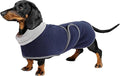 Geyecete Dachshund Sweaters for Dogs,Dog Jacket,Dachshund Coat Perfect Dog Winter Coat with Padded Fleece Lining and high Collar,Snowsuit with Adjustable Bands Sizes-Navy-M