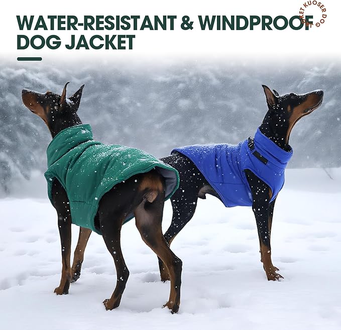 Kuoser Dog Jacket, Warm Dog Coat with Harness Built in for Small Dogs, Puppy Winter Jacket Pet Clothes for Cold Weather, Windproof Doggie Winter Vest for Chihuahua Yorkie, Green XS