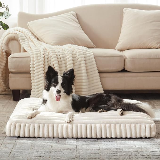 Dog Beds Large Sized Dog, Flat Pet Beds with Removable Washable Cover, Pet Mat Cute Pet Crate Bed Thick Shredded Chopped Crate Foam & Anti Slip Bottom for Indoor, 35"x23"x4" Cream