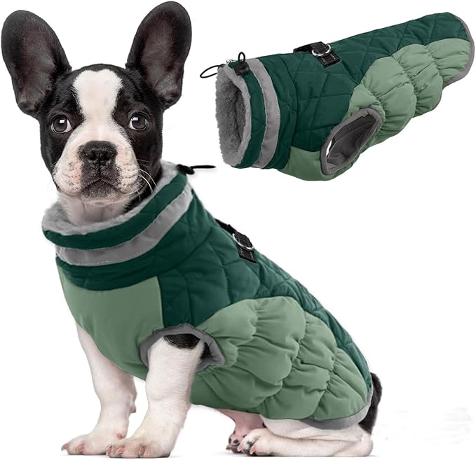Lelepet Warm Dog Winter Coat Dog Coats for Small Dogs Waterproof Dogs Jacket with Harness Built in Reflective Cold Weather Coats Windproof Zip-Up Winter Fleece Vest Snowsuit Yorkie Teal Green S