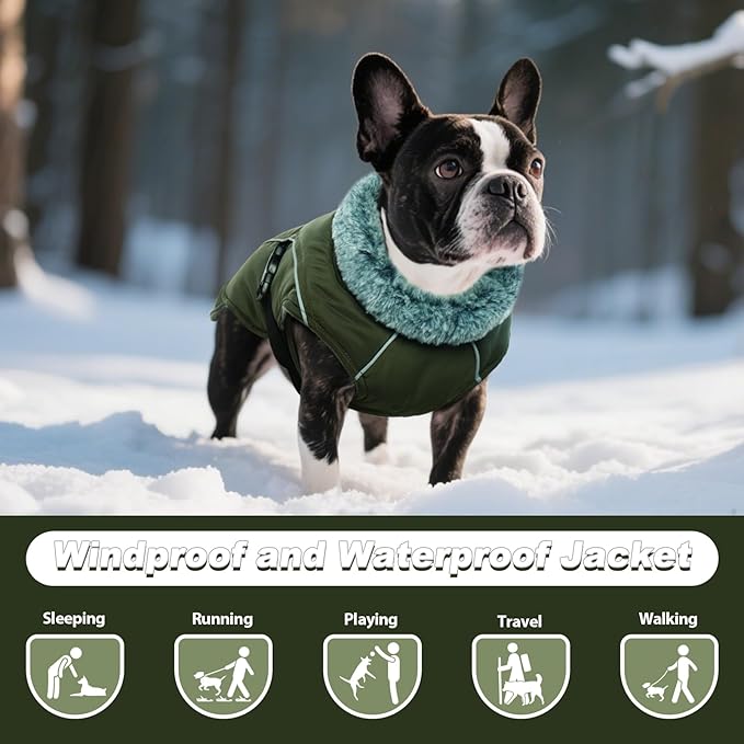 DENTRUN Small Dog Winter Warm Coat - Windproof Cozy Jacket, Thick Fleece Vest with Adjustable Belt, Water Repellent, Reflective Dog Sweater for Yorkie Dachshund Wear, Army Green, S