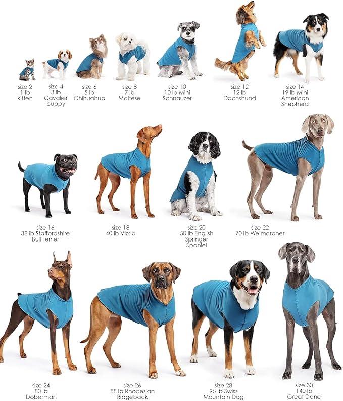 Goldpaw Stretchy Fleece Jacket for Small Dogs - Super Soft, Warm Dog Sweater - Pet Sweater Vest for Fall and Winter - Canine Clothes Made in The USA - Machine Washable - Cornflower Blue - Size 18