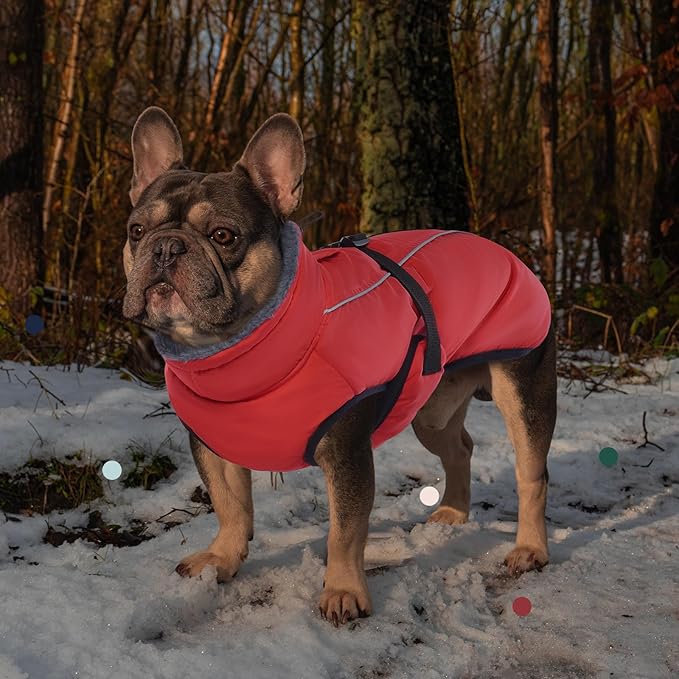 IECOii Extra Warm Reflective Adjustable Dog Jacket - Dog Winter Coat with Buckle Fleece Turtleneck for Cold Weather, Small - Extra Large Dogs