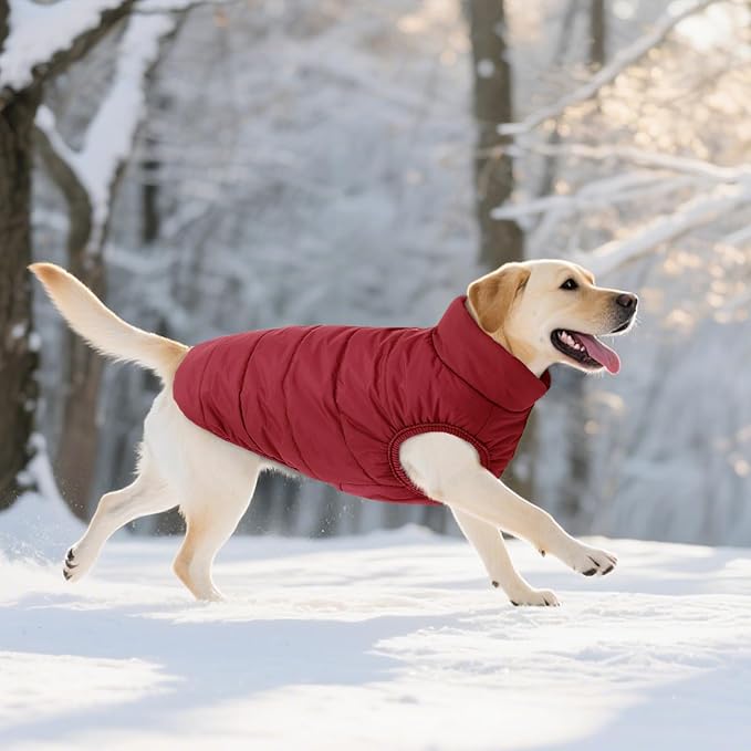 ASENKU Dog Winter Coat - Waterproof Windproof Dog Jacket, Warm Snowproof Doggie Puffer Vest for Cold Weather, Lightweight Snow Coats for Small Medium Large Dogs(S, Red)