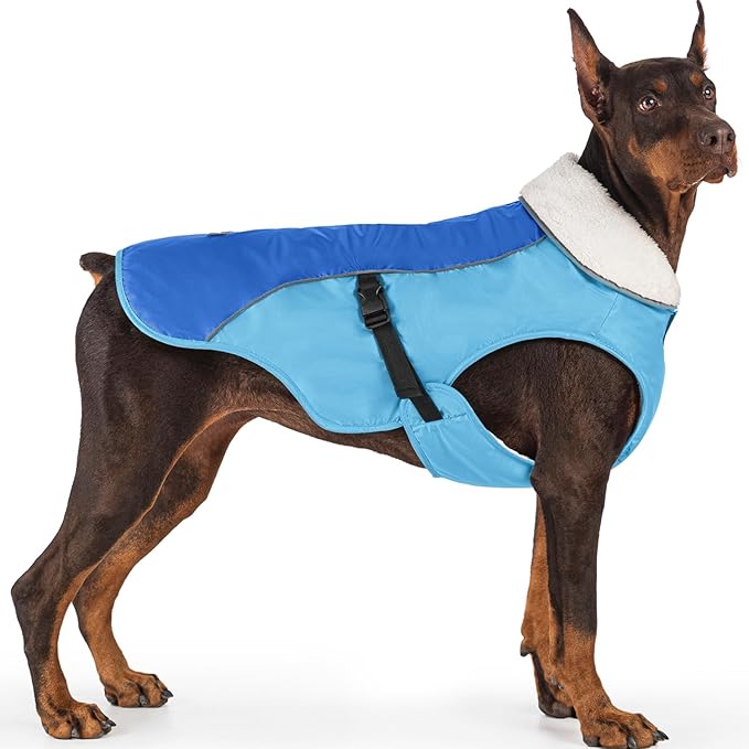 EMUST Dog Jacket, Windproof Polyester, Warm Fleece Lined, Reflective, New Blue, S