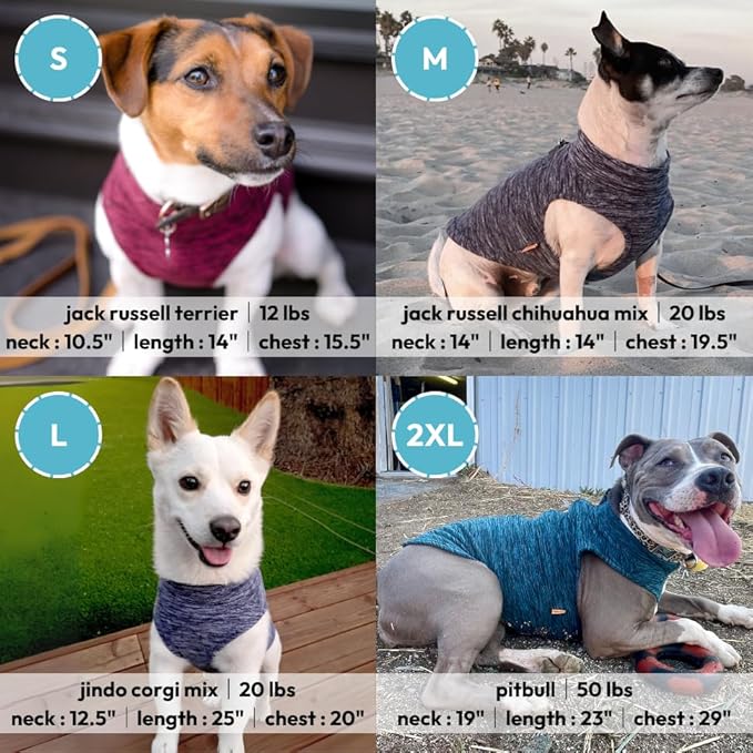 Gooby Boys 2X-Large Chest (~25.5 Inch) Zip Up Fleece, Turquoise Wash, 2X-Large 25.5 US