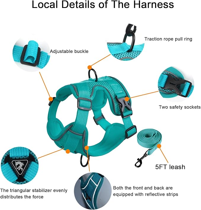 SOLMOONY Small Dog Harness,Soft Mesh Puppy Harness and Leash Set,No Escape Cat Harnesses for Training Walking,Reflective Adjustable Puppy Vest for Small Medium Dogs, Cats (Turquoise, S)