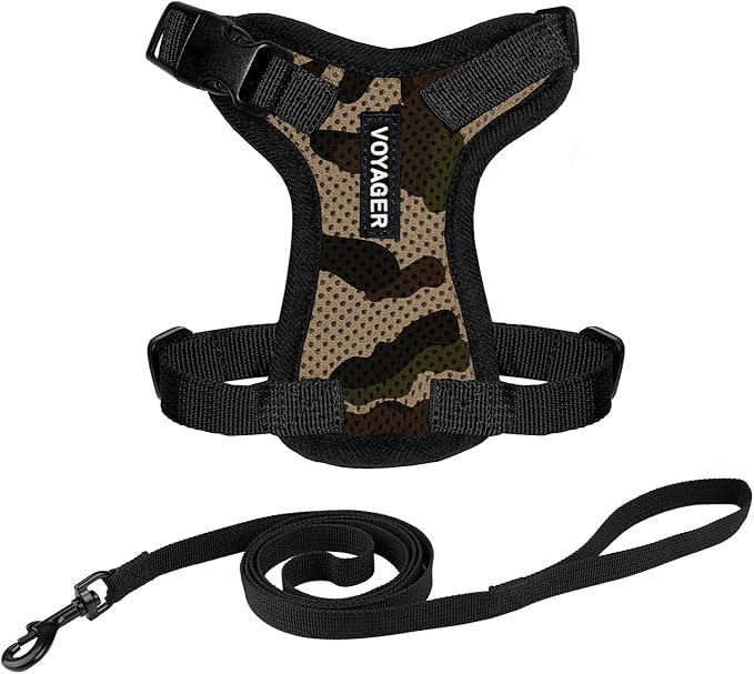 Voyager Step-in Lock Adjustable Cat Harness w. Cat Leash Combo Set with Neoprene Handle 5ft - Supports Small, Medium and Large Breed Cats by Best Pet Supplies - Army/Black Trim, XS