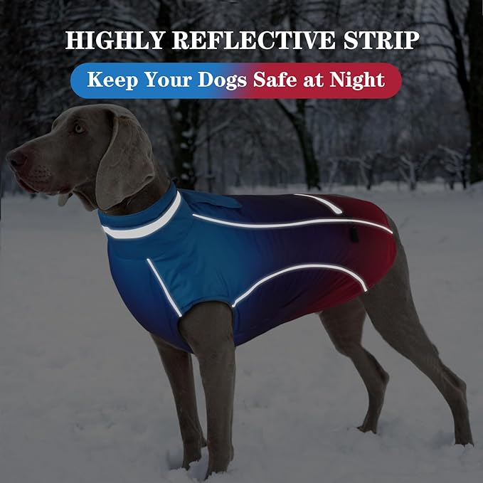 Doglay Dog Winter Coat, Waterproof Dog Jacket with Pocket, Reflective Turtleneck Pet Winter Jackets, Warm Puppy Snow Jacket for Small Medium Large Dogs