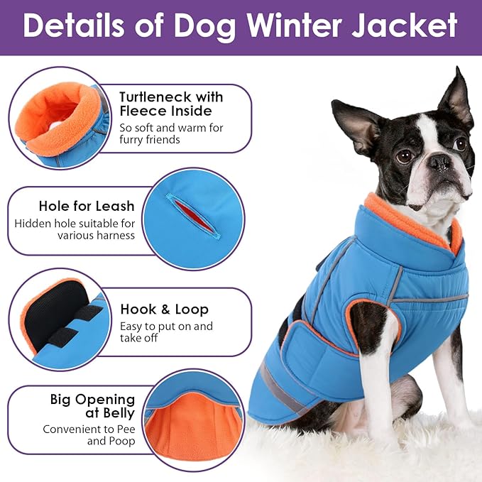 SUNFURA Small Dog Coat, Warm Dog Winter Coat, Adjustable Pet Jacket with Leash Hole, Waterproof Pet Snow Jacket Puppy Sweater Coats, Turquoise XS
