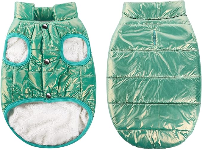 ASENKU Dog Winter Coat - Waterproof Windproof Dog Jacket, Warm Snowproof Doggie Puffer Vest for Cold Weather, Lightweight Snow Coats for Small Medium Large Dogs (Mint Green, M)