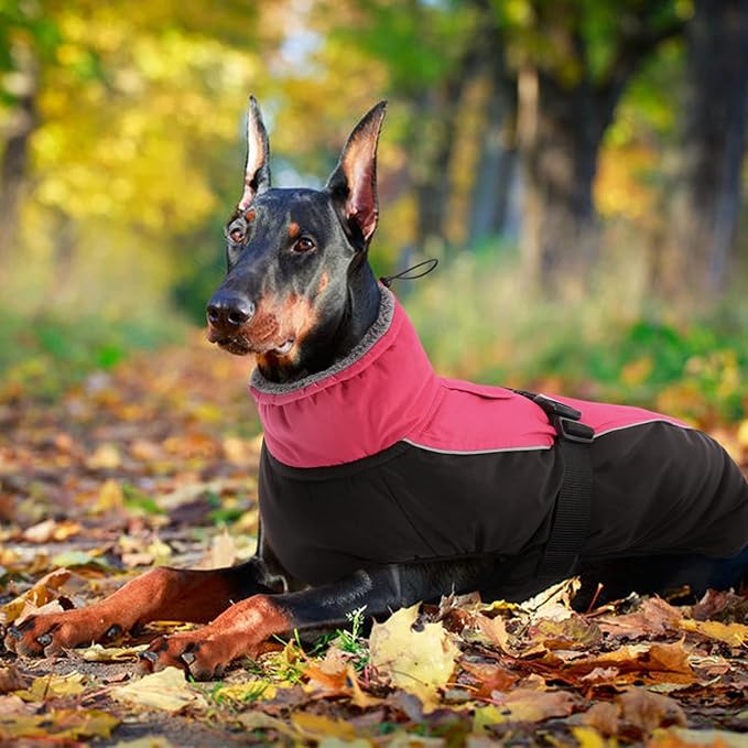 IDOMIK Dog Winter Coat, Reflective Waterproof Dog Jacket for Cold Weather, Warm Pet Coats for Small Medium Large Dogs, High Collar Doggy Fleece Snow Jacket, Winter Vest with Adjustable Buckle,XXL