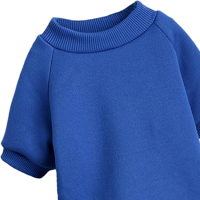 Puppy Sweater for Small Dogs Clothes Warm Winter Cat Clothe Pet Sweatshirt Knitwear Doggie Kitten Clothing, Blue, Small