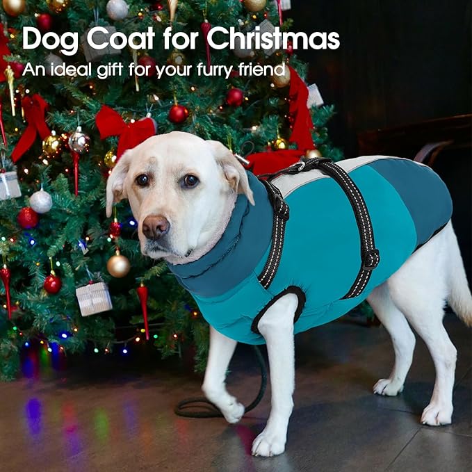 SUNFURA Small Dog Coat with Harness Built-in, Warm Dog Jacket with Zip, Reflective Winter Coat Pet Sweater Clothes for Small Dogs Schnauzer, Yorkshire Terrier, Shih Tzu, Turquoise S