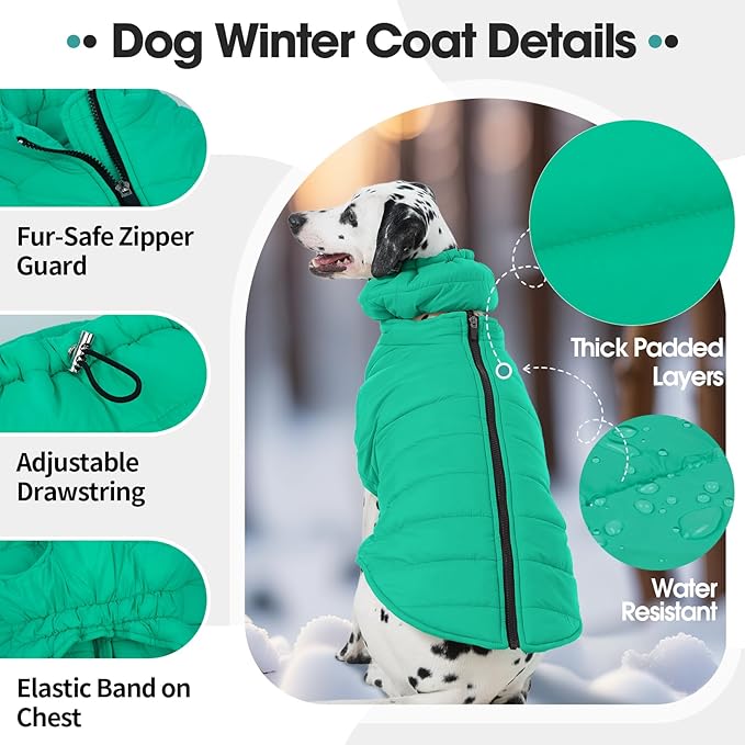 Medium Dog Jacket with Zipper, Dog Winter Coats for Medium Dogs, Warm Waterproof Snow Puffer Vest for French Bulldog, Boston Terrier, Cocker, Beagle, Green M