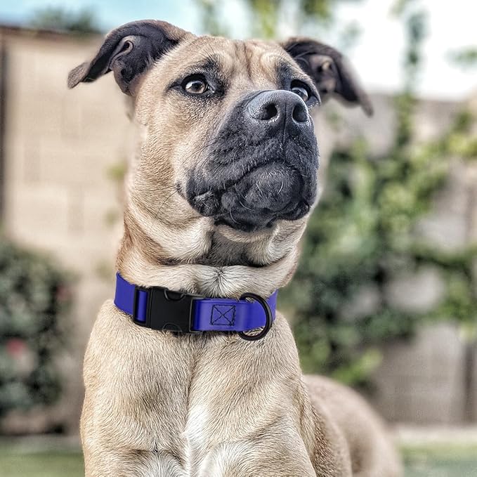 Dogline Biothane Waterproof Dog Collar with Quick Release Buckle Strong Coated Nylon Webbing with Odor- Proof for Easy Care Easy to Clean Fits Small Medium or Large Dogs, Royal Blue 1" W 15-23" L