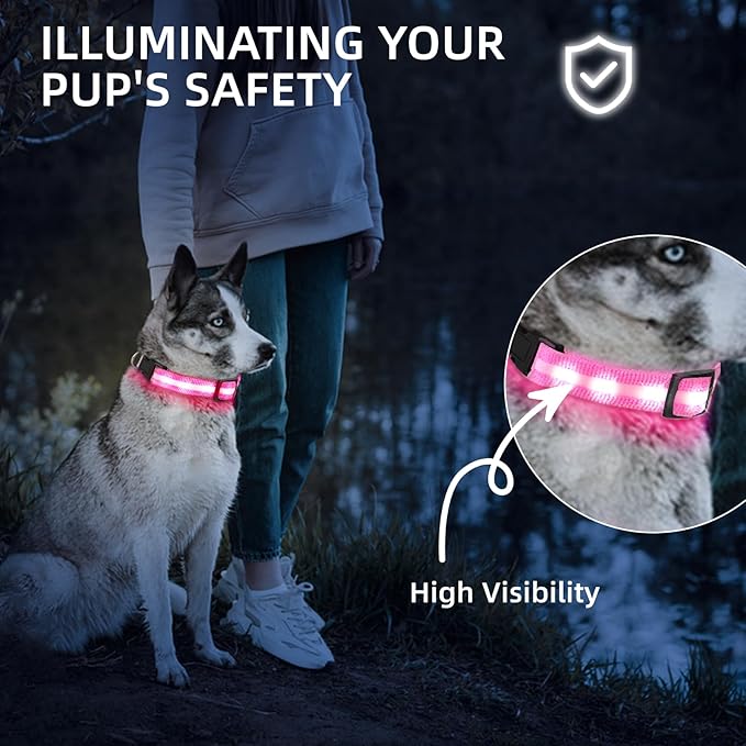 Super Bright LED Dog Collar - Fully Waterproof & Adjustable Glow Collar - USB-C Rechargeable for Night Walking, Safety - Flashing Lighted Collar for Dogs(Pink,S)