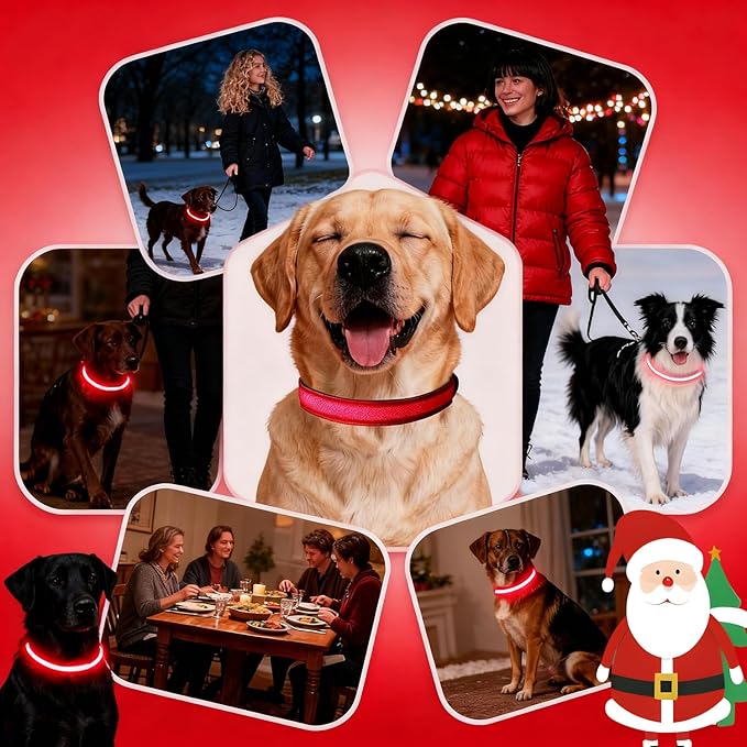 DOGWONG LED Dog Collar - Heavy Duty Light up Collars - Rechargeable Waterproof - Lighted Dog Collar for Night Walking, Hiking, Camping(Red,L)