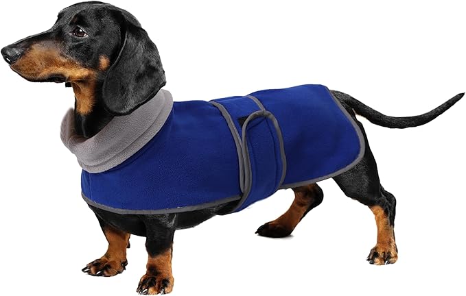 Geyecete Dachshund Sweaters for Dachshunds - Winter Coat with Padded Fleece Lining and High Collar - Dog Snowsuit with Adjustable Bands - Blue - M