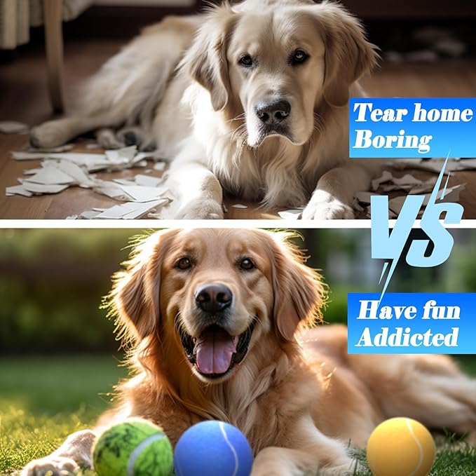 30 Pcs Tennis Balls for Dogs 2.5 Inch Pet Playing Ball Mini Training Dog Balls High Elasticity Practice Puppy Ball for Large Dog, Medium Small Dogs, 15 Colors