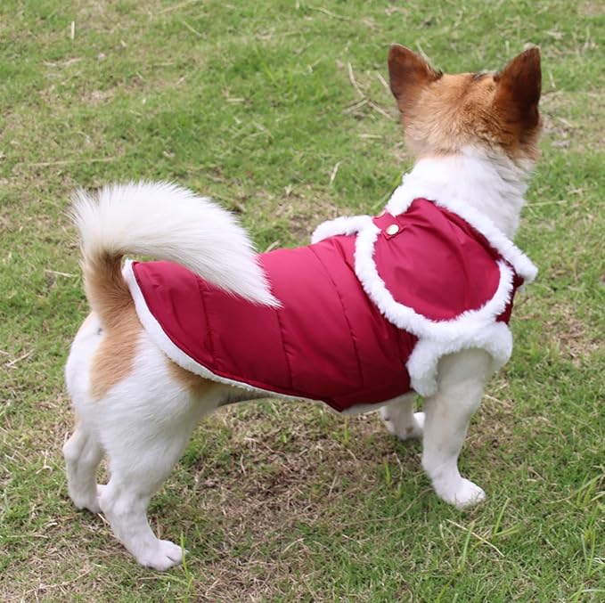 Shawl Design Fleece Lined Warm Dog Jacket for Winter Cold Weather,Soft Windproof Medium Dog Coat,Red L
