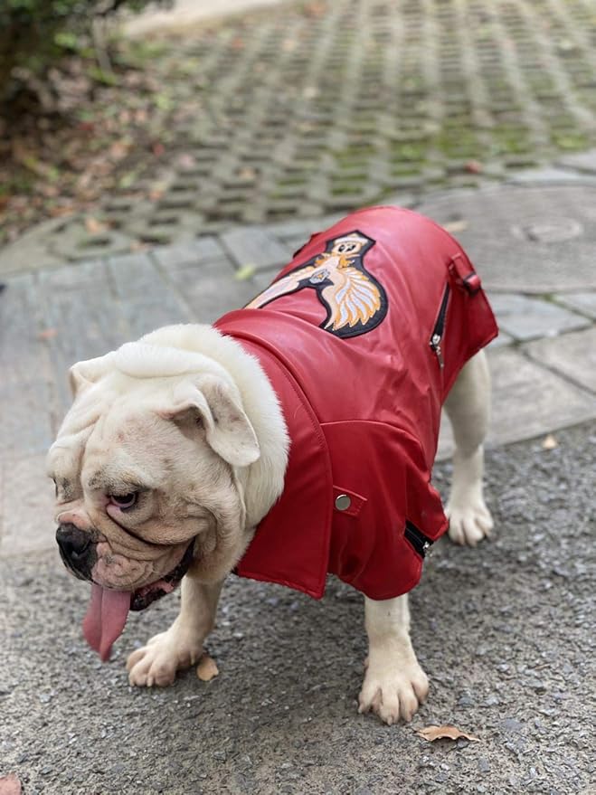 Lovelonglong Cool Dog Leather Jacket, Warm Coats Dogs Windproof Cold Weather Coats for Large Medium Small Dogs with Eagle Embroidery Red B-M
