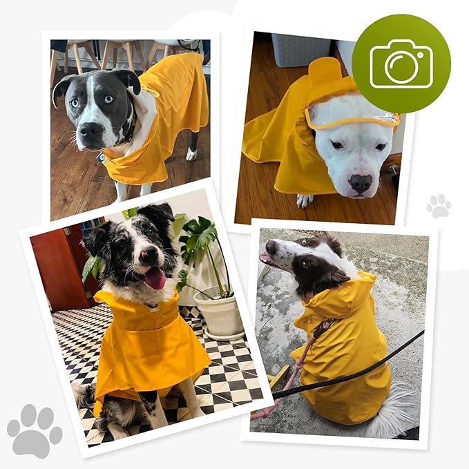 Dog Raincoat, Waterproof Windproof Dog Rain Jacket with Hood, Rain Coat with Leash Hole, Adjustable Raincoat Poncho for Small Medium Large Dogs Outdoor (Neon Yellow, Medium)