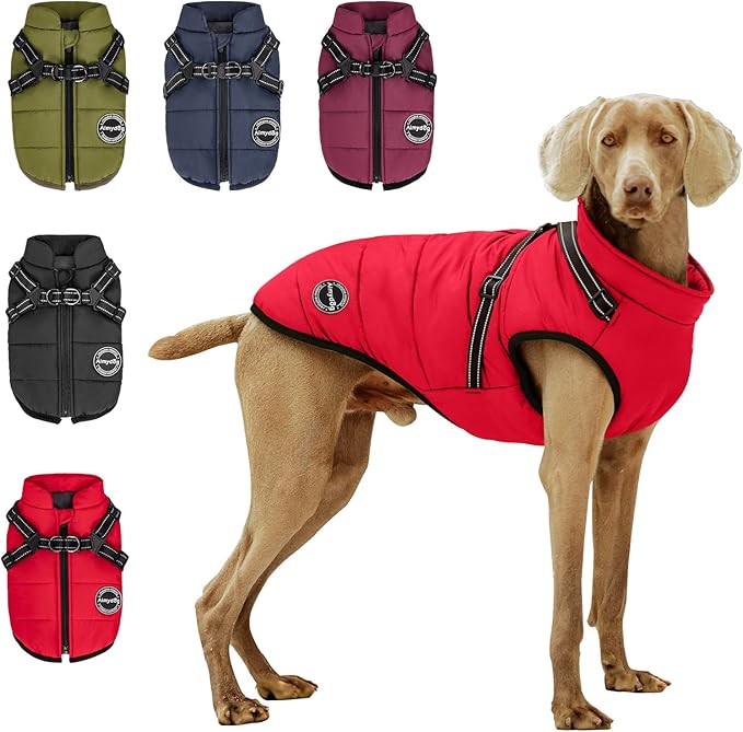 Warm Winter Coat, Fashion Sports Cold Weather Jacket With Built-in Harness, Reflective & Adjustable Comfortable Pet Vest, Waterproof Windproof Apparel for Small Dogs (Red)