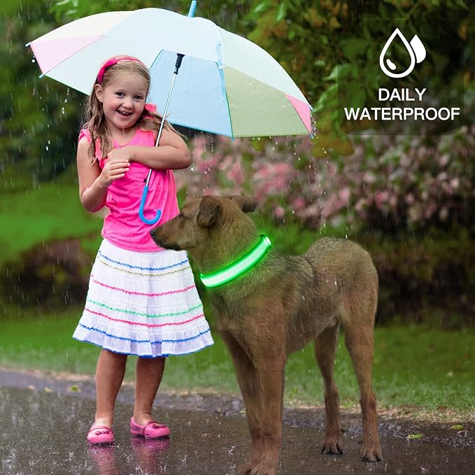 YFbrite Light up Dog Collar, USB Rechargeable LED Puppy Collar Super Bright Adjustable Glowing Dog Lights for Night Walking (Design 2-Green, Medium)