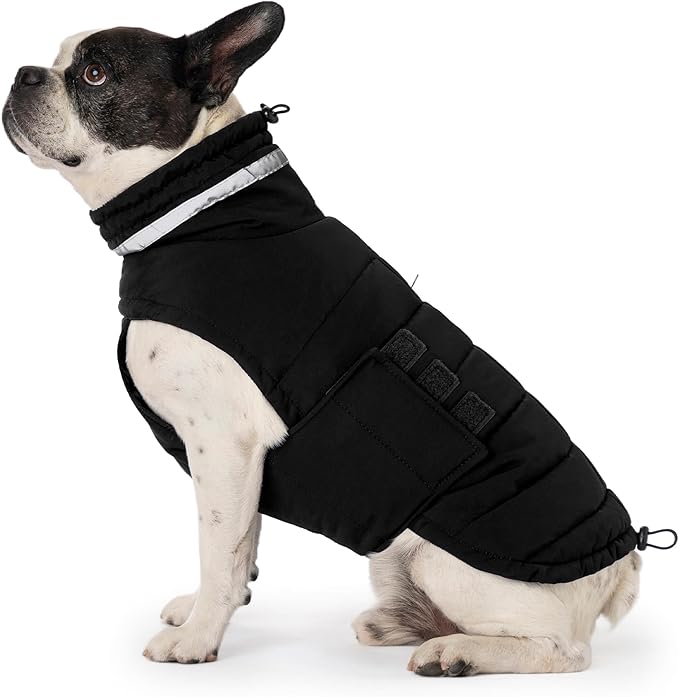 Dog Coat, Waterproof Winter Jacket, Warm Windproof Jacket, Reflective Adjustable Turtleneck Coats for Medium Dogs with Hook & Loop - Black - M