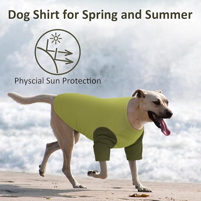 2 Pack X-Large Dog Shirts - Breathable Lightweight Durable Tees, Durable Moisture-Wicking Clothes for Beagle, Bullmastiff, Sleeping Hot Summer Day Outdoor Activities, Travel, Seaside, Green
