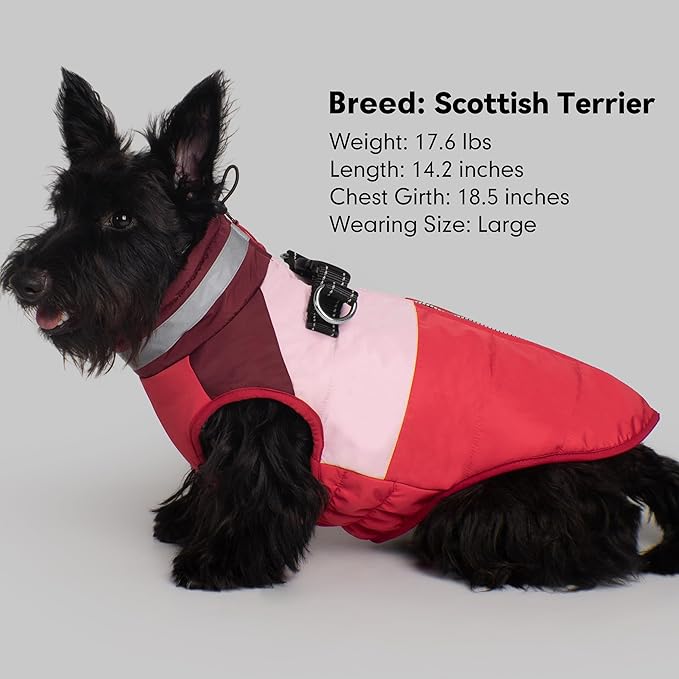 azuza Dog Jacket Waterproof Winter Coat for Small Dogs, Warm Fleece Vest with Reflective Strips & Built-in Harness, Windproof Back Zipper, Red S