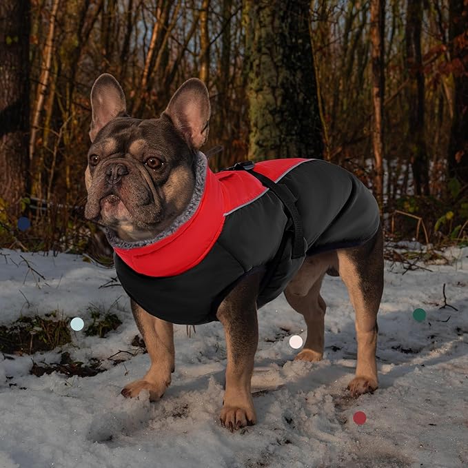 IECOii Extra Warm Dog Coat - Reflective Adjustable Jacket With Buckle Fleece Turtleneck for Cold Weather - Soft Winter Coat for Small Medium Extra Large Dogs