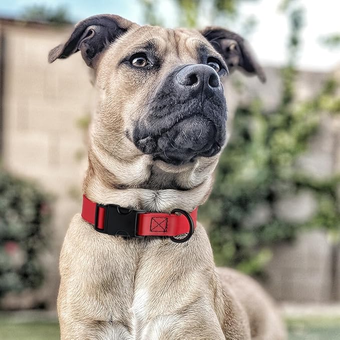 Dogline Biothane Waterproof Dog Collar with Quick Release Buckle Strong Coated Nylon Webbing with Odor- Proof for Easy Care Easy to Clean Fits Small Medium Large Dogs, Red 5/8" W 9-14" L