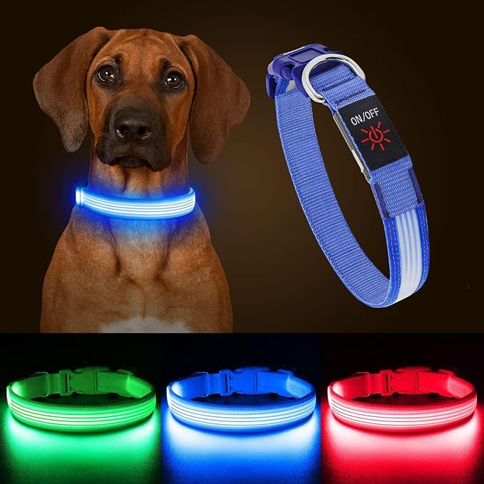 YFbrite Light up Dog Collar, USB Rechargeable LED Puppy Collar Super Bright Adjustable Glowing Dog Lights for Night Walking (Design-2- Blue, Small)