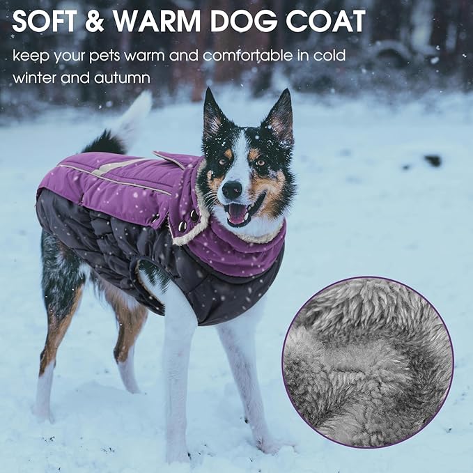 Queenmore Warm Fleece Dog Jacket - Cold Weather Waterproof Snow Jacket with Leash Hole, Reflective Turtleneck - Purple, Medium