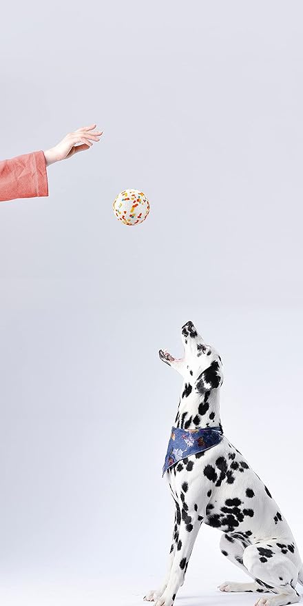 Dog Balls, Indestructible Dog Toy Ball for Aggressive Chewers, Durable High Elasticity Interactive Ball for Training Dog Catch and Fetch, Large Medium Small Dog and Puppies(2.5in, 1pcs)