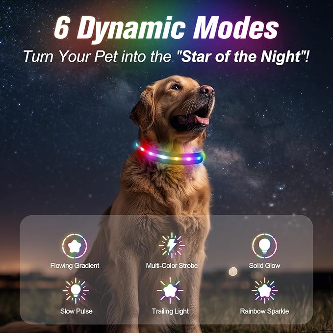 LED Dog Collar, Light Up Dog Collar, USB Rechargeable - Brightest Dog Lights for Night Walking, 6 Light Modes, Adjustable for Dog Safety(Small, Purple)