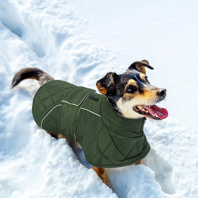 Kuoser Extra Warm Dog Jacket for Medium Dogs, Fleece Lined Dog Turtleneck Snow Suits, Windproof & Reflective Pet Winter Coat Cold Weater Clothes for Dogs, Green M
