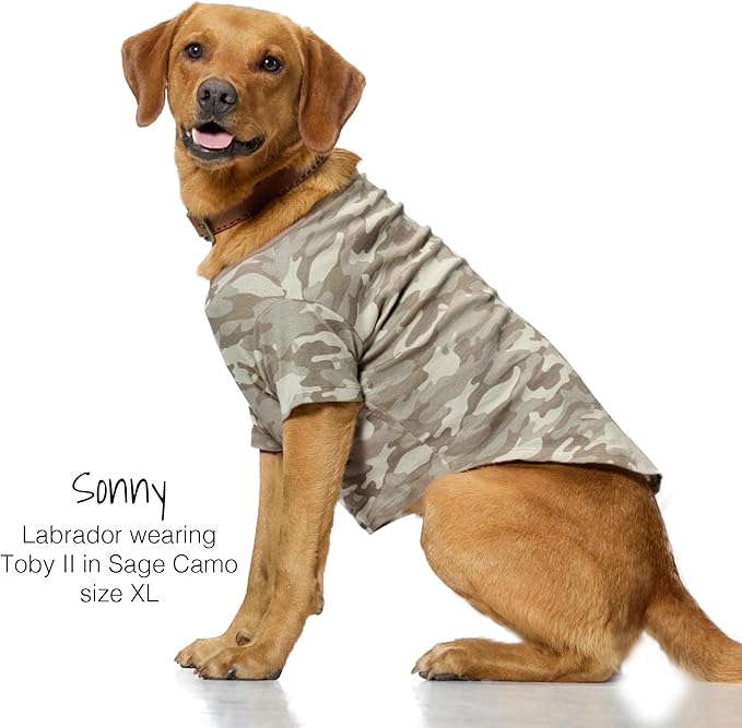 Toby II - The Perfect Tee, 3 Pack Short Sleeve Pet T-Shirt 100% Organic Cotton Tees Clothes for Small, Medium, Large Dogs, Sage Camo, Small