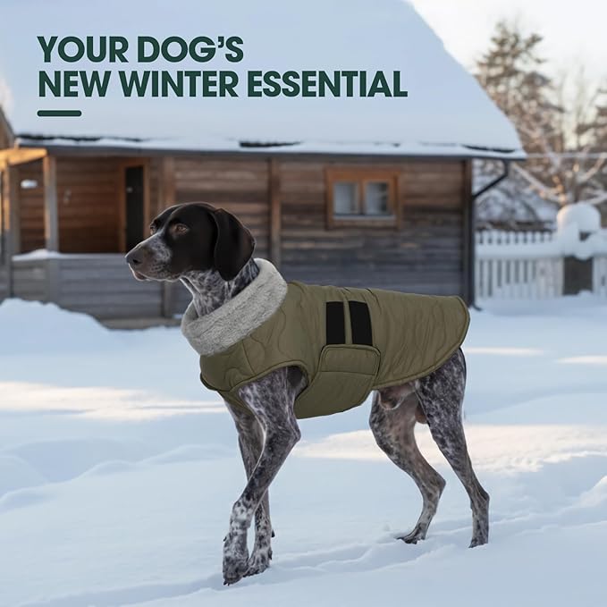 Kuoser XL Heavy Duty Dog Coat | -15°C Windproof Jacket for Husky - Anti-Chafe Fleece Neck