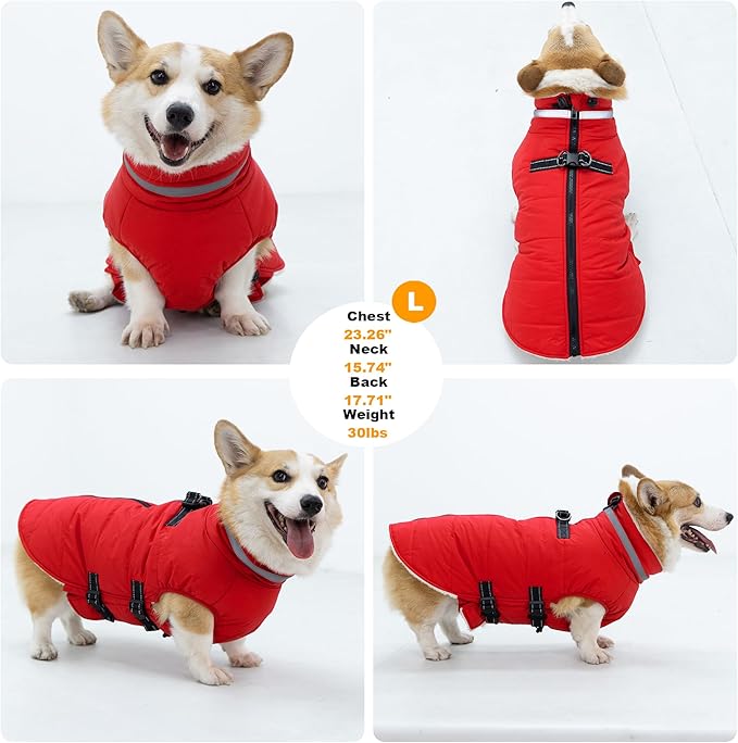 Small Dog Coat with Harness Built-in, Waterproof Reflective Fleece Lined - Warm Windproof Winter Jacket with Back Zipper, Cold Weather Snow Dog Coats - Red - S