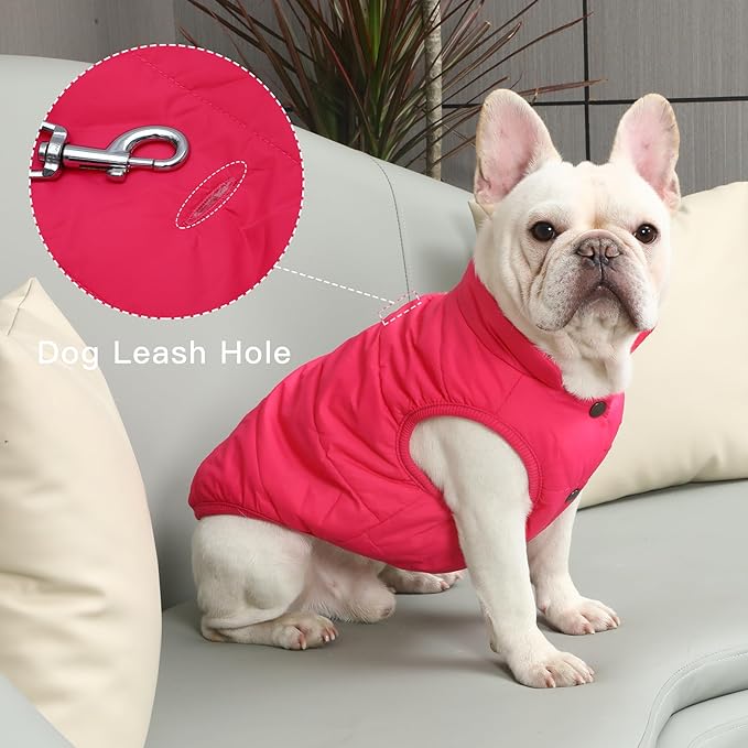 2 Layers Fleece Lined Warm Dog Jacket for Winter Cold Weather,Soft Windproof Medium Dog Coat,Pink XL