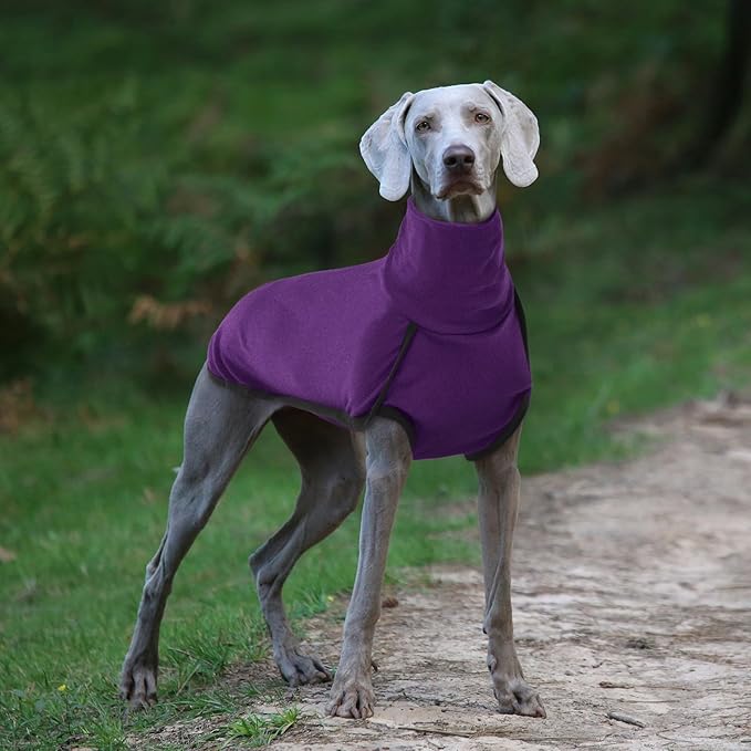 ROZKITCH Dog Sweaters for Medium Dogs Girl, Pet Windproof Warm Cold Weather Jacket Vest Cozy Jumpsuit Apparel Outfit Clothes for Walking Hiking Travel Sleep Purple M