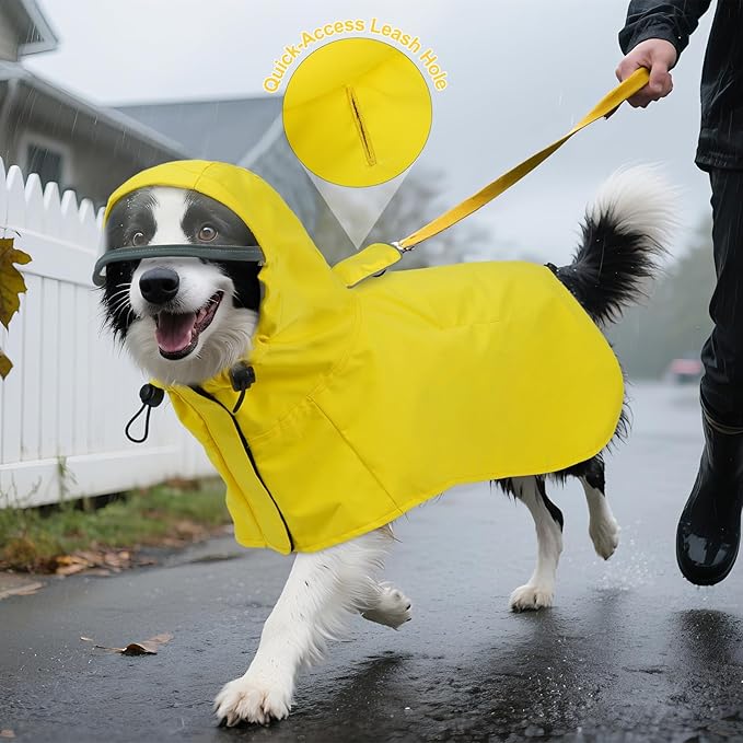 DENTRUN Dog Rain Jacket for Poodle, Bichon – Breathable Mesh Lined, No-Sleeves Easy Wear – Perfect for Rainy Day Walks, Park Visits, Travel, M