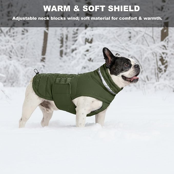 Dog Coat, Waterproof Winter Jacket, Warm Windproof Jacket, Reflective Adjustable Turtleneck Coats for Small Dogs with Hook & Loop - Green - S