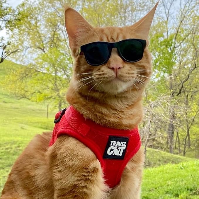 Travel Cat Harness and Leash Set - Adjustable Fit Mesh Cat Harness and Reflective Strap - Comfort Walking Vest for Kitten for Outdoor Walking, Hiking (Extra Small, Red)