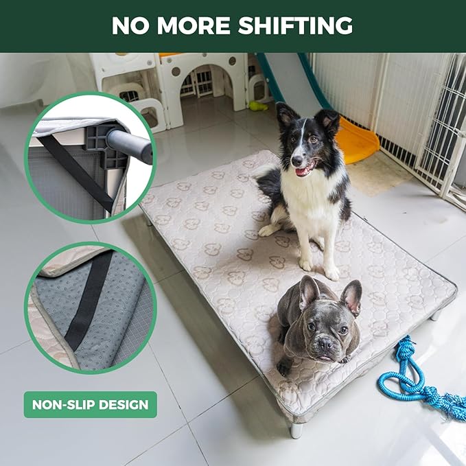FXW TitanNest Chew-Proof Elevated Dog Bed, Raised Cot for Indoor/Outdoor/Camping Use, Durable & Washable Padded Pet Bed with Exclusive Cover for Small Dogs, 36.0" L x 24.0" W x 4.5" H, Gray