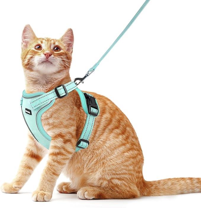 Rttochfy Cat Harness and Leash Set, Adjustable and Reflective Cat Vest, Escape Proof Kitten Harness, Easy to Put on with 3 Buckles for Cats Walking and Traveling (Light Green, L)