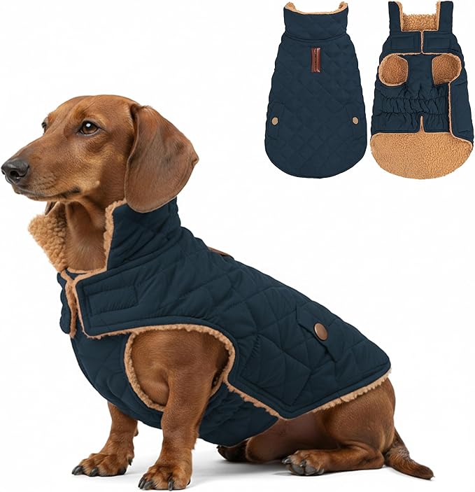 azuza Dog Jacket Waterproof & Windproof Dog Coat for Small Dogs with Thick Fleece, High Collar with Leash Hole, Adjustable Velcro & Elastic Belly, Navy M